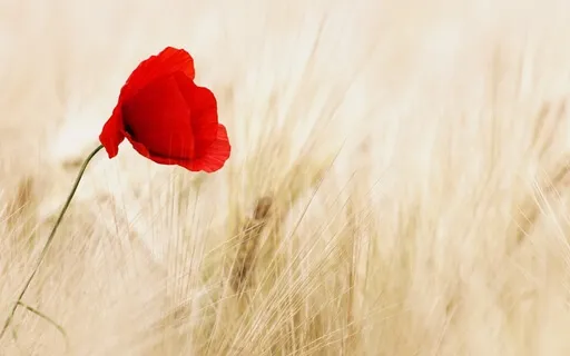 Coming Home To The Body Part 3: Change