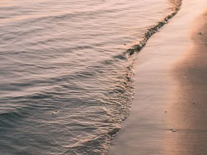 Coming Home To The Body