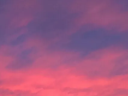 Coming Home To The Breath