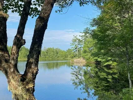 Coming Home To The Breath