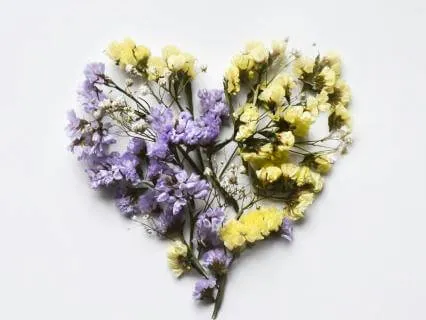 Coming Home To The Heart- Quick Relief In A Time Of Need