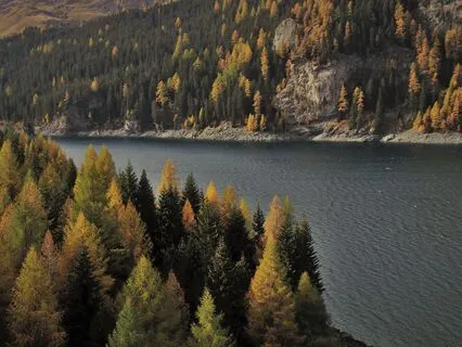 Coming Home To The Moment