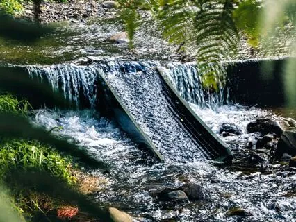 Coming Home To This Moment