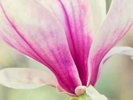 Coming Home To Wholeness: Visualisation