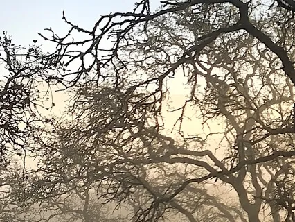 Coming Home To You | Wholeness