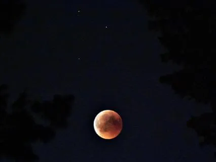 Coming Home To Your Body — A Guided Sleep Meditation