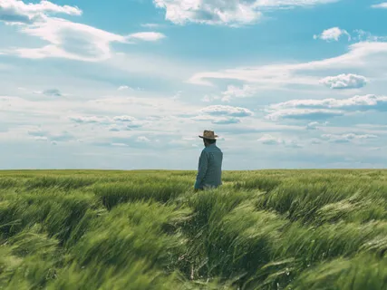 Coming Home To Your Own Being (Short Version)