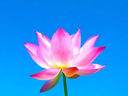 Coming Home To Your Serene Inner Self