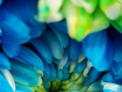 Coming Home To Your Voice: A Throat Chakra Meditation