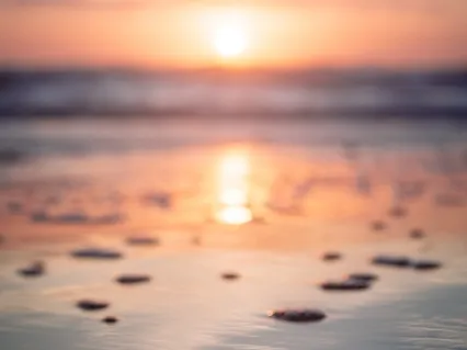 Coming Home To Yourself