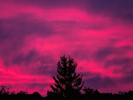 Coming Home To Yourself