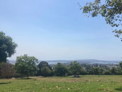 Coming Home To Yourself With Sophia