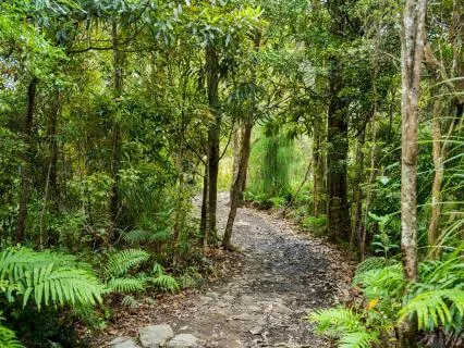 Coming Home To Yourself Meditation For Calm & Inner Safety