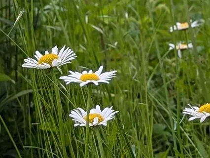 Coming Home To Yourself