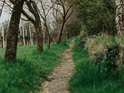 Coming Home To Yourself