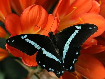 Coming Home To Yourself