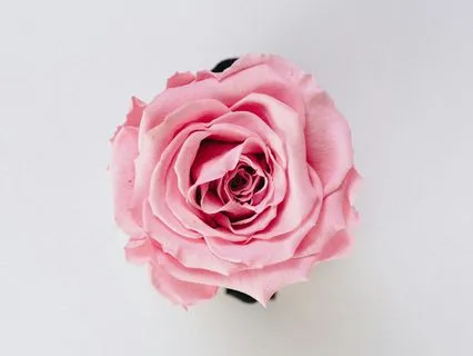 Coming Into Presence: More Ease And Less Effort