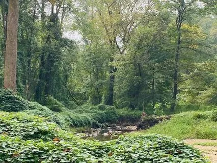 Coming Out Of The Shadow Of Darkness Stepping Into The Light