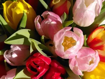 Coming To Acceptance And Finding Back Unity