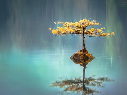 Coming To Our Senses