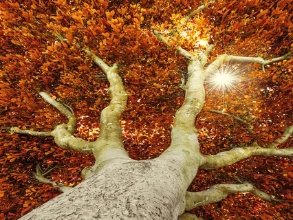 Self-Soothing When It's Hard To Sit Still With What's Inside