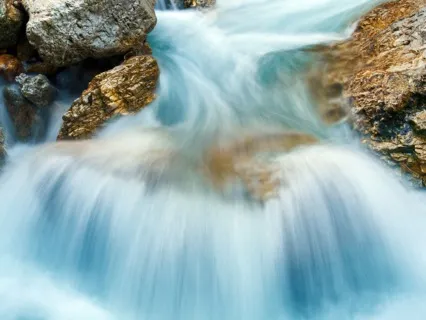 Coming To Our Senses