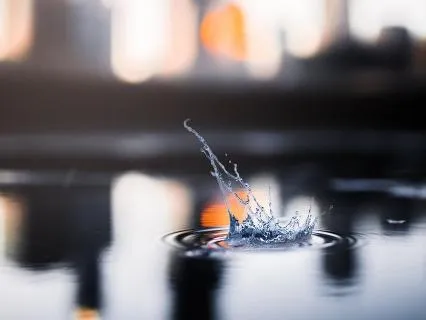 Short Practice: Coming Home To The Breath