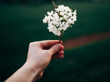 Coming To Your Senses