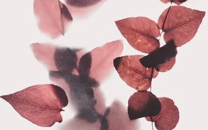 Common Fears Of Aging & How To Reframe Them