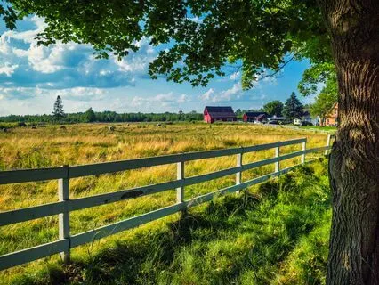 Commune With Non Human Intelligence