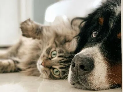 Communicating To Bring Us Together