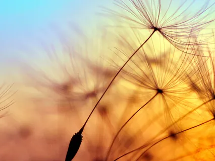 Communicating With God