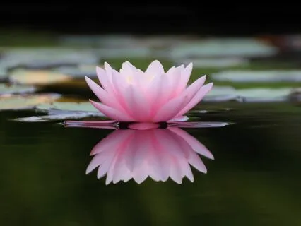 Communicating With Your Archetype