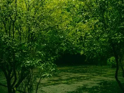 Communing With Your Green Space