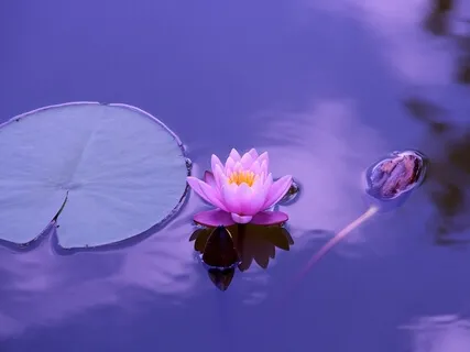 Compasiunea de sine - Dizolvăm frica și îngrijorarea