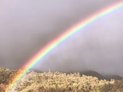 Compassion, A Key To Peace