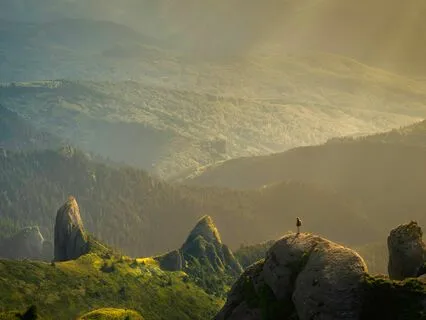 Compassion And Anchor Of Choice Meditation (10-12 Minutes)