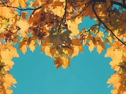 Compassion And Love For Self And Others