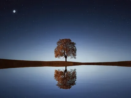 Compassion & Loving Kindness For Everyone & Everything