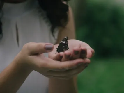 Compassion Body Scan