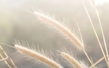 Compassion, Calm & Clarity - With Kate Darnell