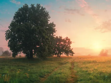 Compassion During The Coronavirus Pandemic - Guided Tonglen Practice