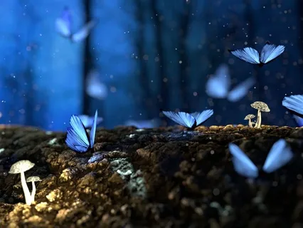 Compassion: Enhancing Its Quality (Words & Affirmations)