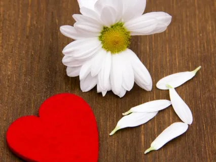 Compassion For Failures & Mistakes