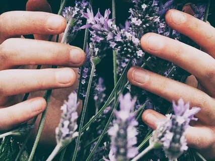 Compassion For Healthy Connections & Well-Being