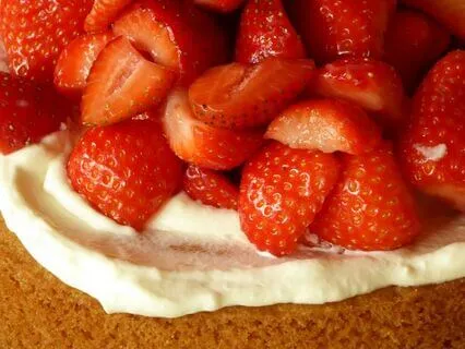 Compassion For Ourselves When We Feel The Urge To Escape