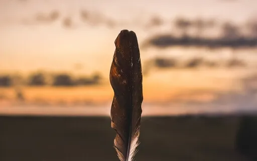 Compassion For Self And Others Like You