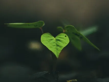 Compassion For Uncomfortable Emotions (With Music)