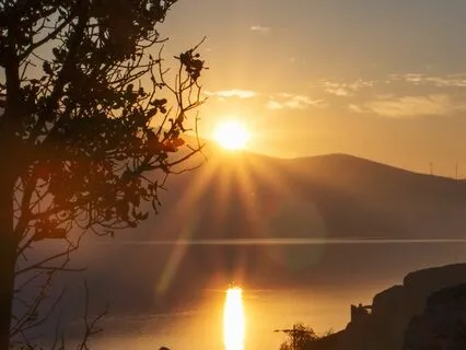 Compassion for your Emotions