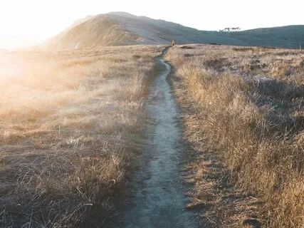 Mantra For Compassion